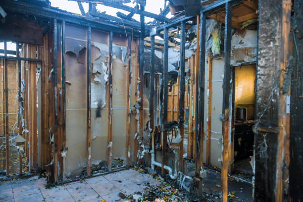 Professional Smoke Odor Removal technician working in Clarksville, TX